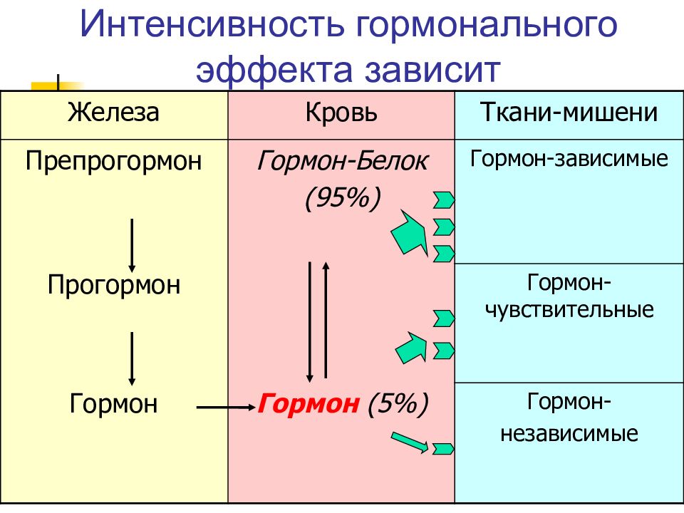 Гормоны биохимия презентация