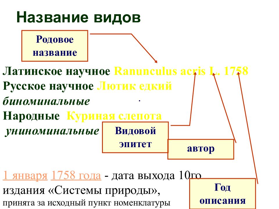 Учением называют. Родовое и видовое название. История эволюционного учения презентация. Родовое Наименование это. Униноминальная система.