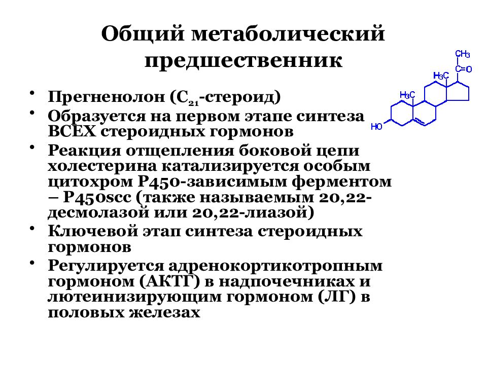 Предшественник это