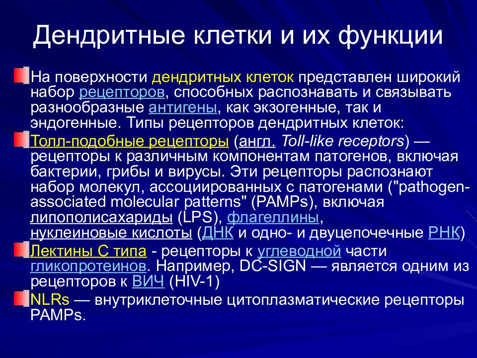 Свойства дендритных клеток. Дендритные клетки иммунной системы. Дендритные клетки. Презентировать антиген т-лимфоцитов способны. Типы дендритных клеток.