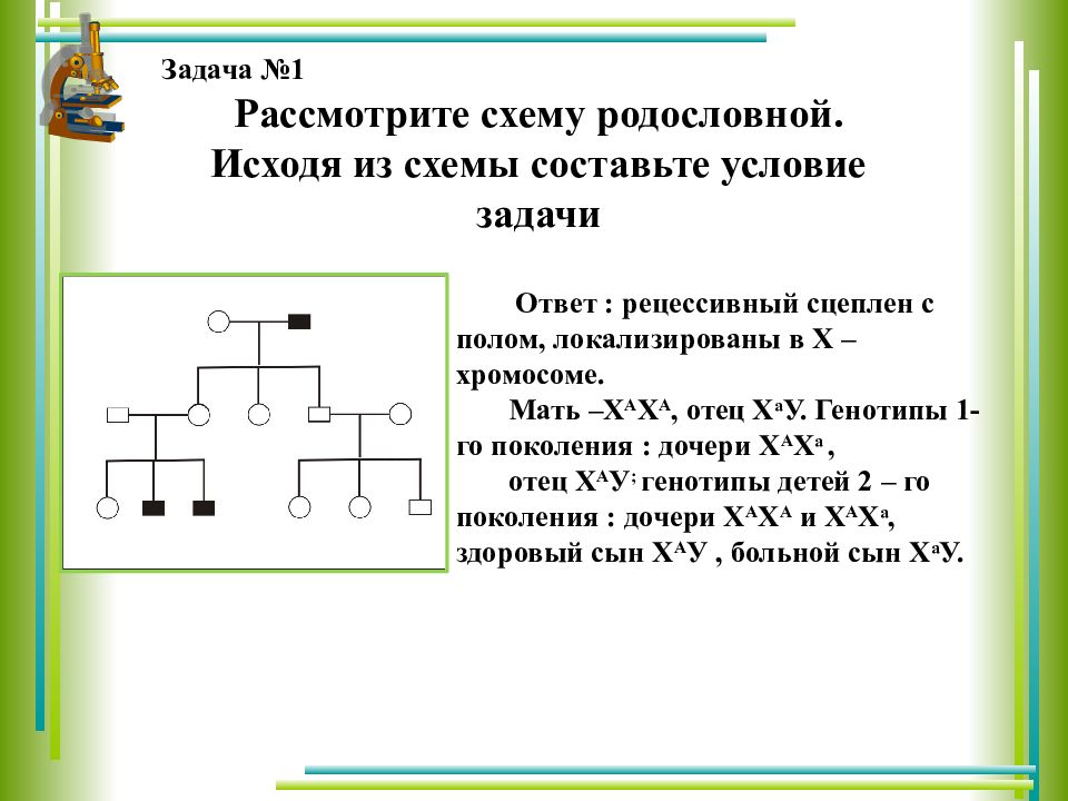 Задачи по генетике с решением