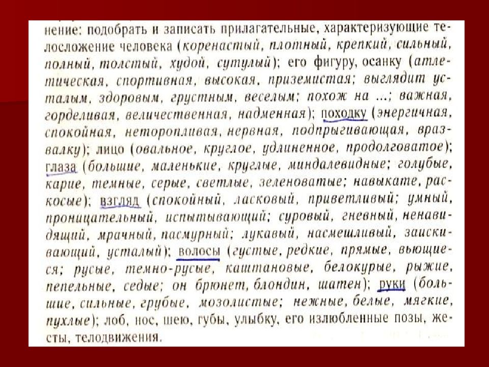 Как писать очерк о человеке план с примерами портретный