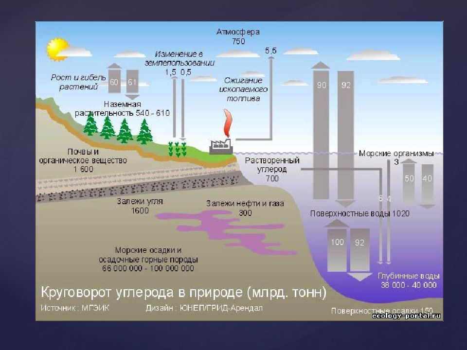 Круговорот углекислого газа в биосфере схема