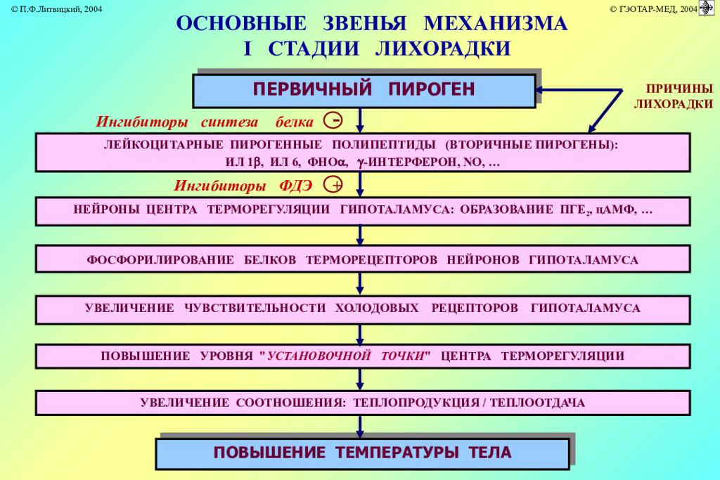 Обмен веществ при лихорадке