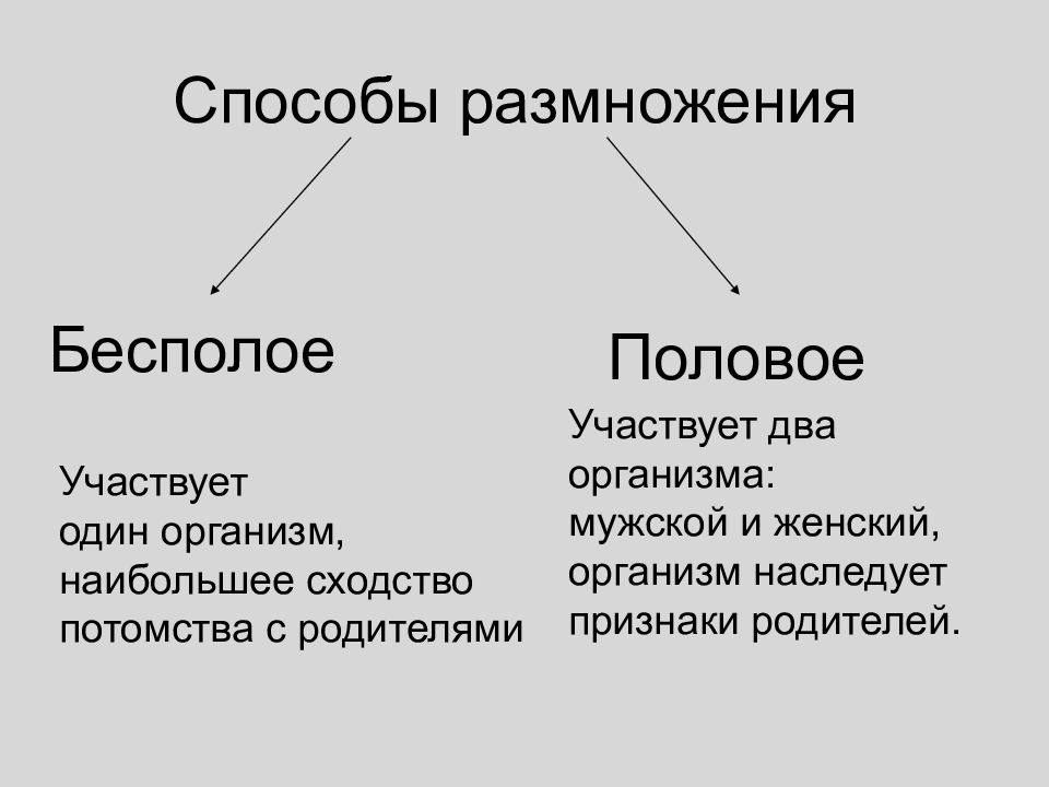 Презентация способы размножения организмов