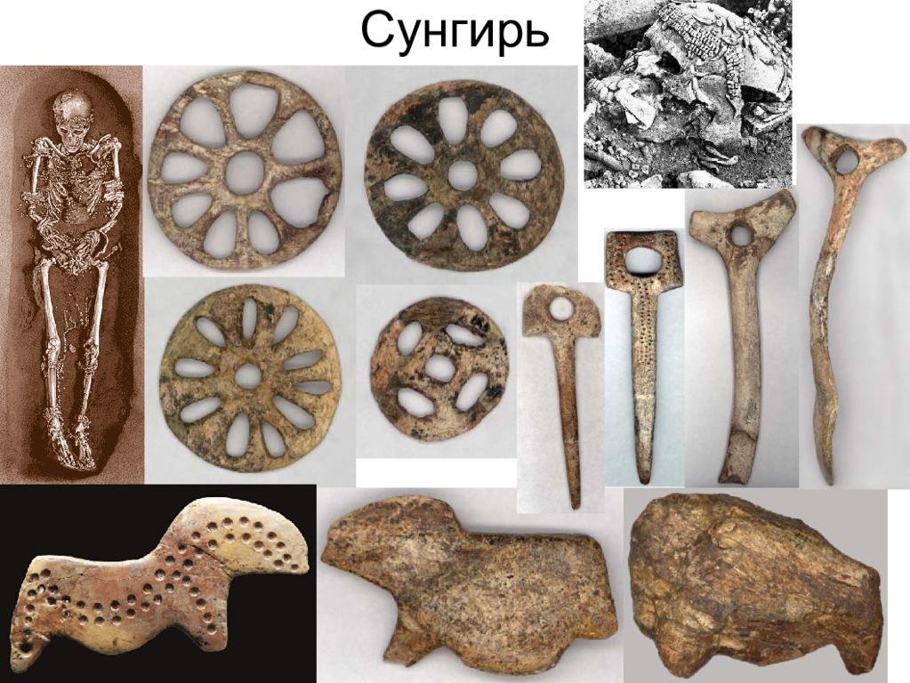 Стоянка первобытного человека сунгирь. Сунгирская стоянка Владимир раскопки. Сунгирь древняя стоянка. Сунгирь Владимирская область.