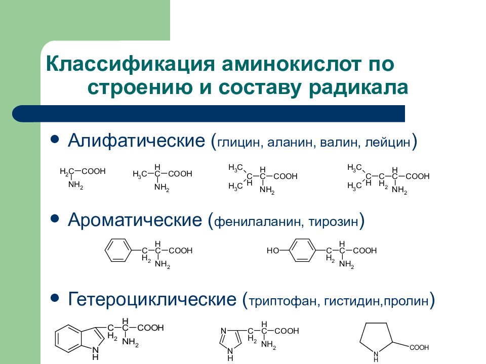 Оптические аминокислоты. Классификация Альфа аминокислот по радикалу. Структурная классификация аминокислот. Алифатические и ароматические аминокислоты. Классификация аминокислот по структуре радикалов.