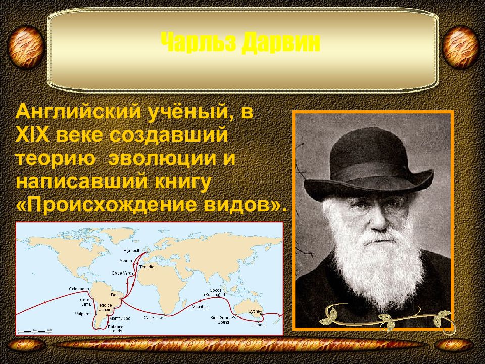 Английский ученый теория эволюции. Английский ученый теория эволюции. Английский ученый теория эволюции. Дарвин и уоллес. Чарлз дарвин открытие в биологии.