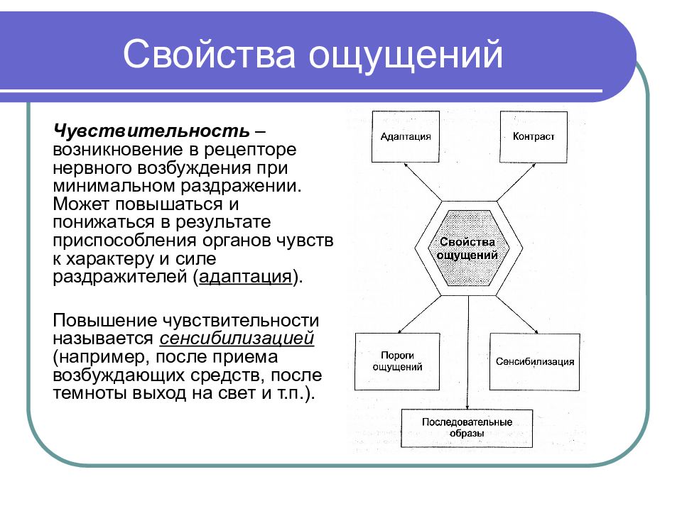 Ощущение основной. Виды и свойства ощущений. Возникновение ощущений схема. Основные функции ощущений. Функции процесса ощущения в психологии.