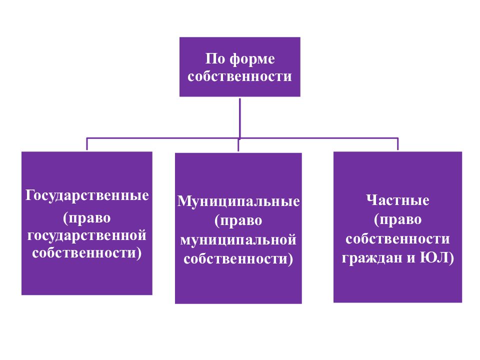 Презентация юридические лица