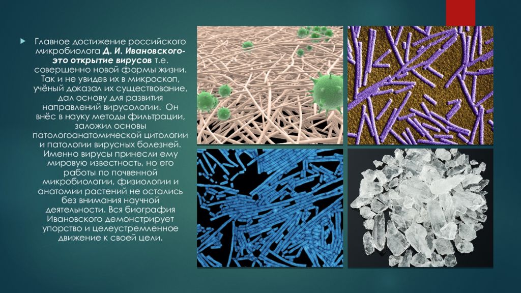 Возникновение вирусологии как науки презентация