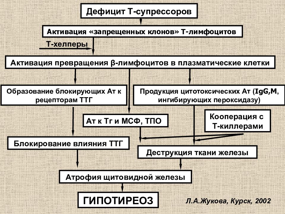 Гипотиреоз виды причины механизмы развития основных проявлений презентация