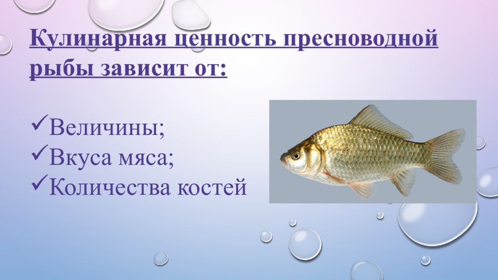 От размеров рыбы зависит. Классификация рыбы по размеру. Систематика рыб. Ценность пресноводной рыбы. Кулинарная классификация рыб.