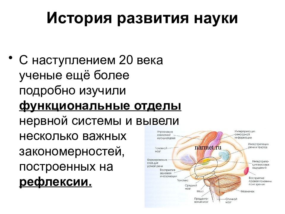 Методы нейрофизиологии. История нейрофизиологии. Нейрофизиология сна. Основы нейрофизиологии и высшей нервной деятельности. Функциональные отделы ВНД-.