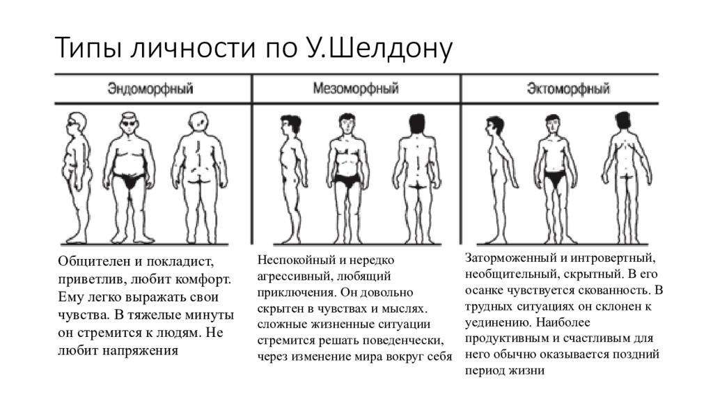 Человек организм человек личность. Конституциональная теория темперамента э Кречмера. Конституциональные (э.Кречмер, у.Шелдон),. Конституционные теории темперамента Кречмер Шелдон. Типы телосложения по Шелдону.