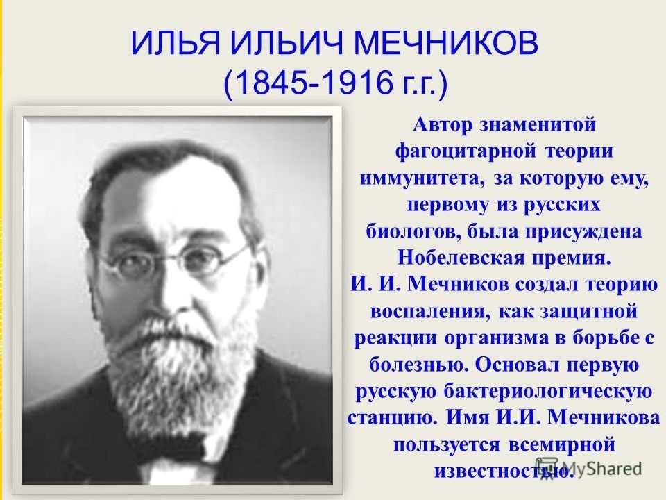Что создал мечников в биологии. Мечников Мечников создал теорию. И. И. Мечников (1845—1916) открытие.