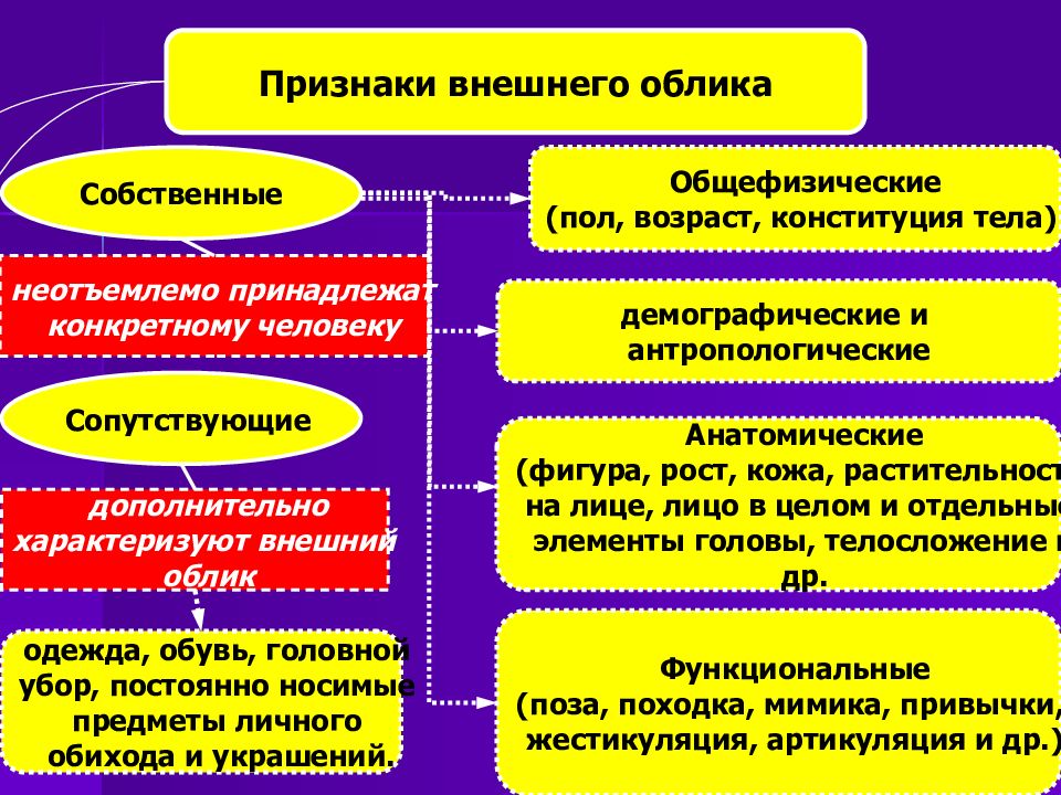 К объективным источникам информации о признаках внешнего облика человека относятся рисунки