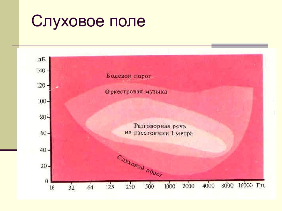 Болевой порог разница