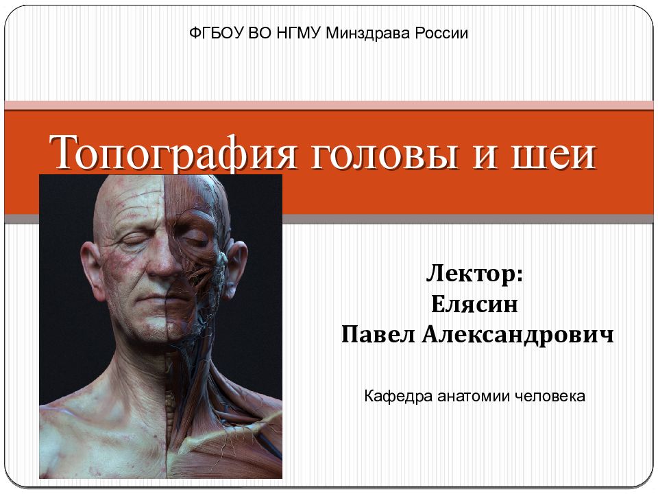 Топография головы и шеи