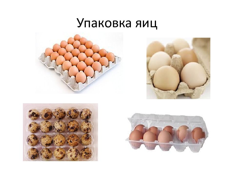 Презентация яйца и яичные продукты товароведение