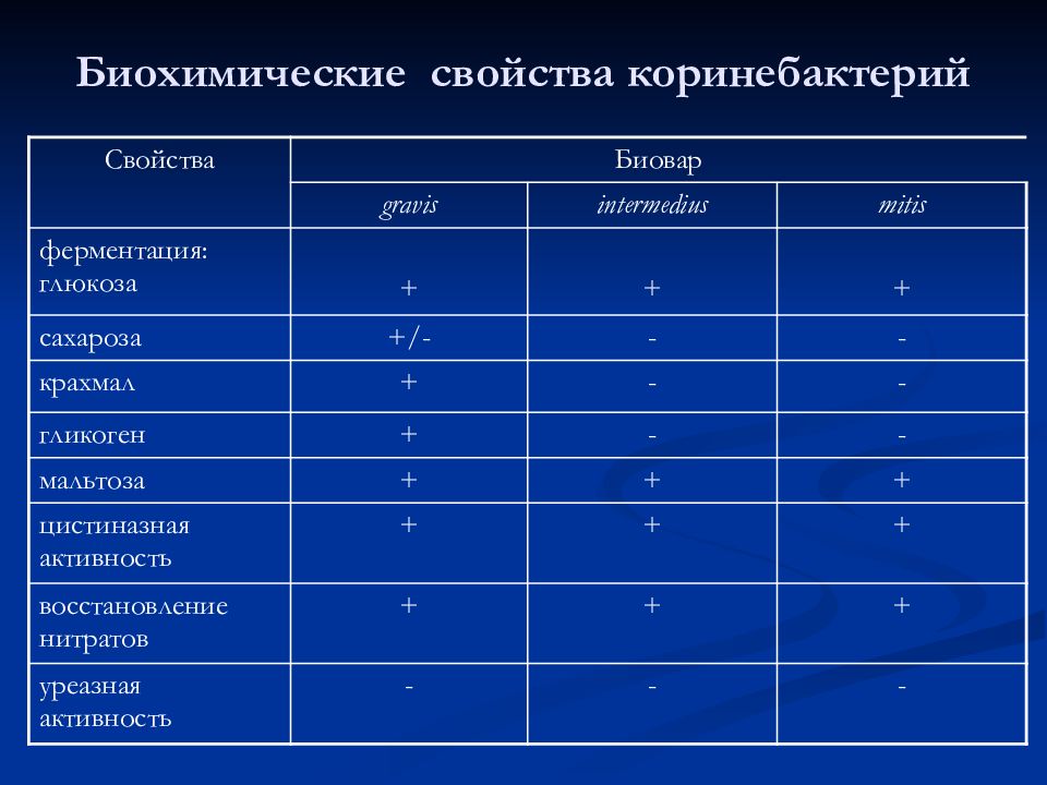 Диагностика свойства. Corynebacterium diphtheriae биохимические свойства. Биохимические свойства коринебактерий дифтерии. Биохимические свойства энтеробактерий таблица. Биохимические свойства бактерий таблица.