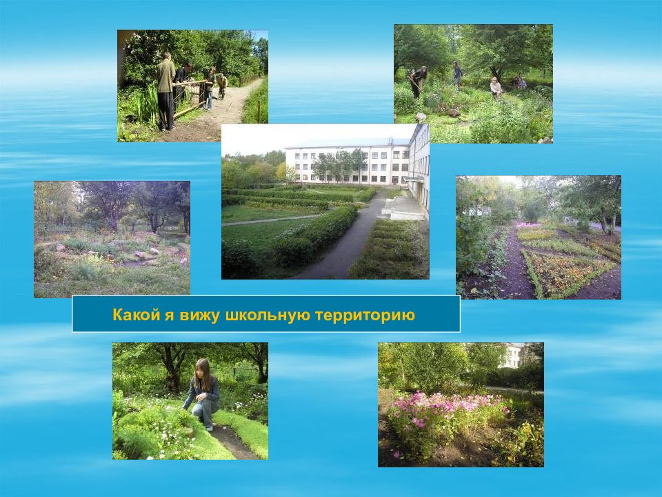 Какой вижу школу