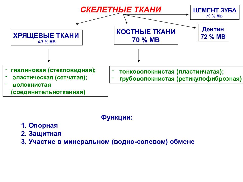 Скелетные ткани общие свойства