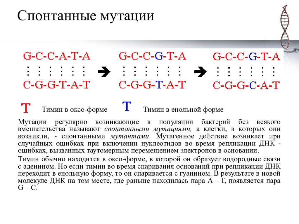 Мутации молекулы днк. Мутации при репликации ДНК. Спонтанные мутации примеры. Причины спонтанных мутаций. Спонтанные мутации дезоксирибонуклеиновой кислоты.