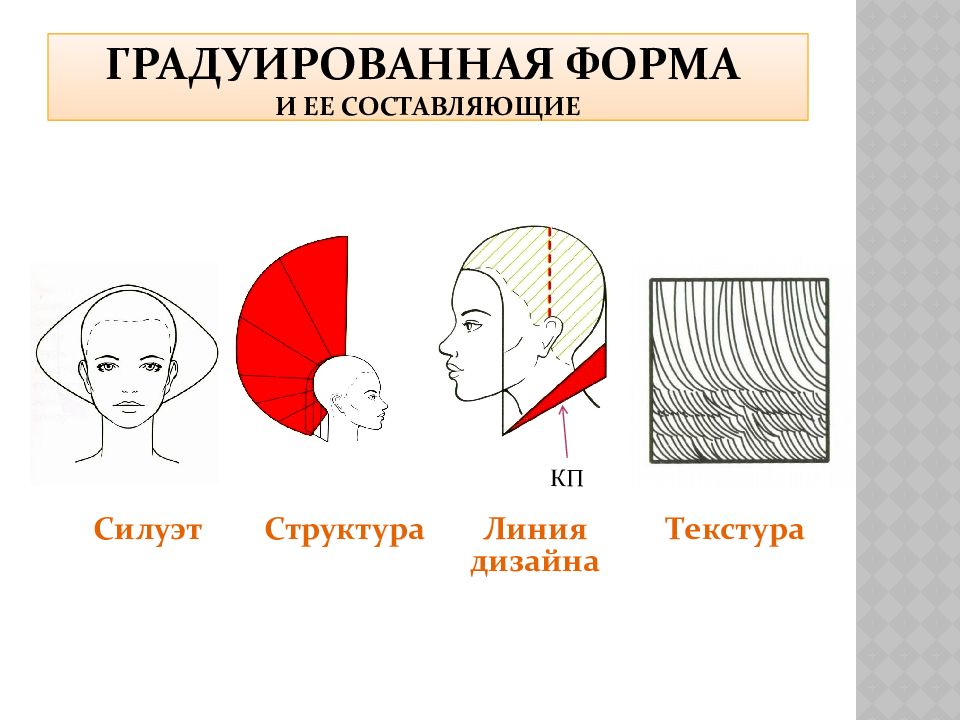 Вид градуировки. Градуированная форма стрижки схема. Градуированная форма стрижки. Массивная форма стрижки. Четыре основные формы стрижки.