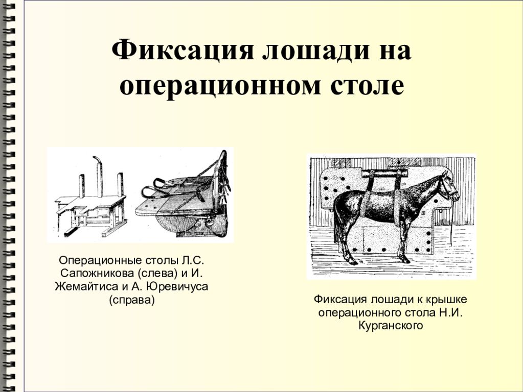 Фиксация это. Механические способы фиксации лошадей. Операционный стол Жемайтиса для КРС. Фиксация лошадей в стоячем положении. Фиксация лошади на операционном столе.