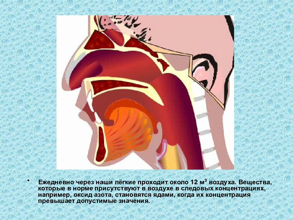 Проходит через легкие