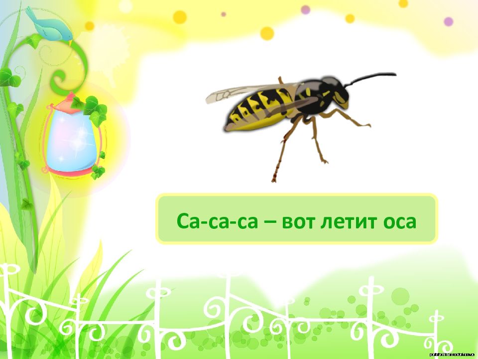 Песни ос. Чистоговорки про осу. Са са са Оса. Са са са летит Оса. Логопедические карточки летит.