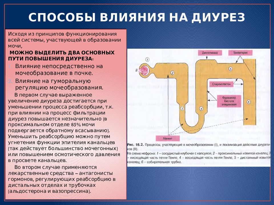 Осмотическое давление глюкоза