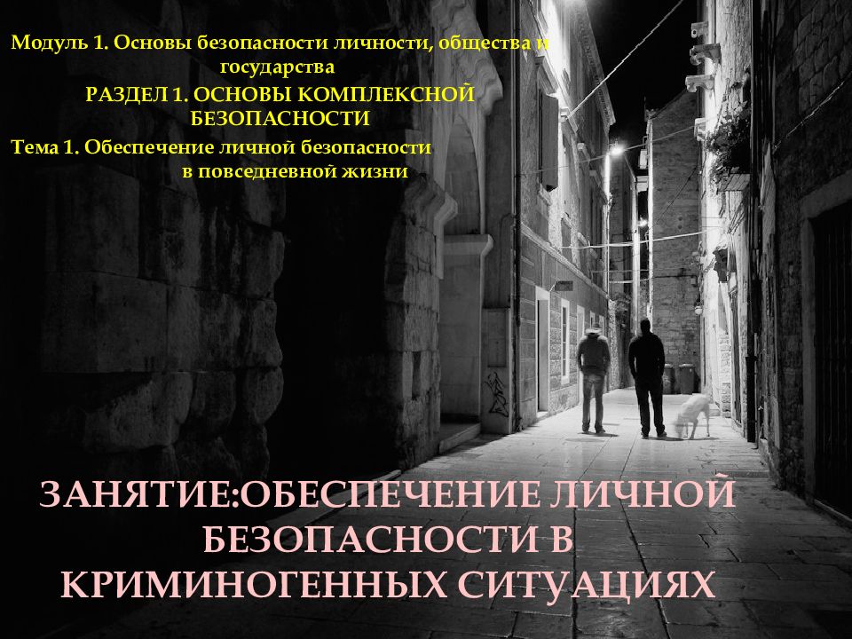 Занятие:Обеспечение личной безопасности в Криминогенных ситуациях