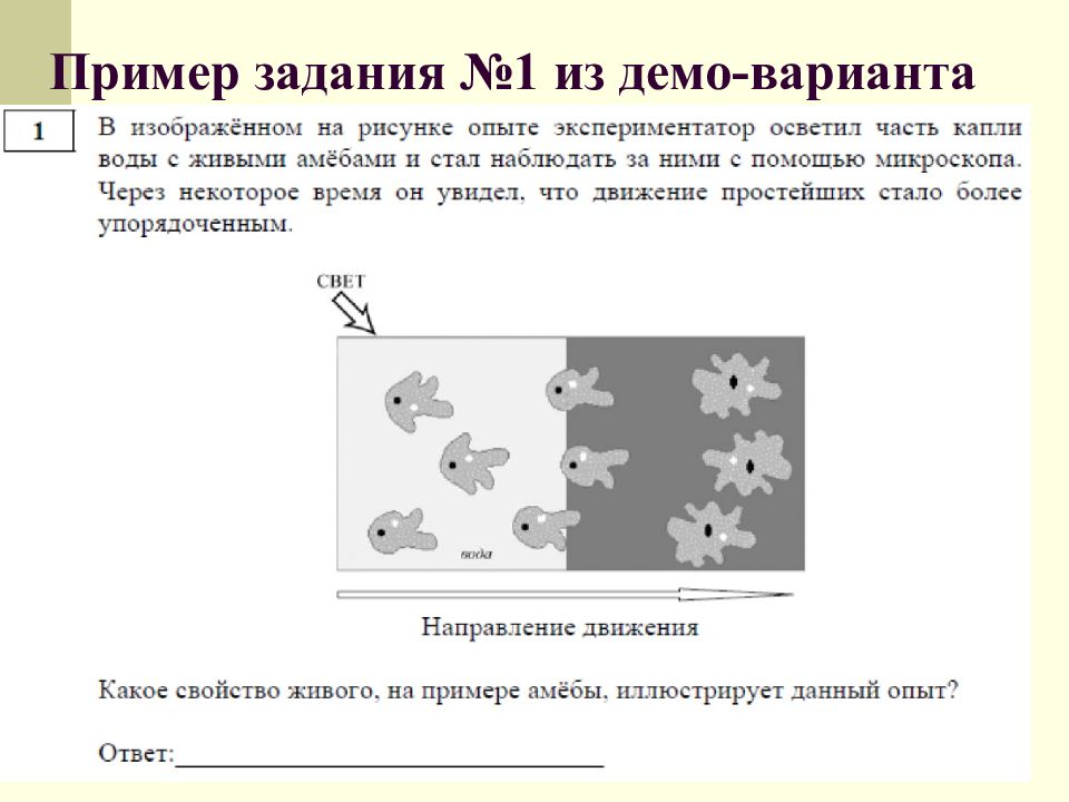 Рисунки в огэ в биологии