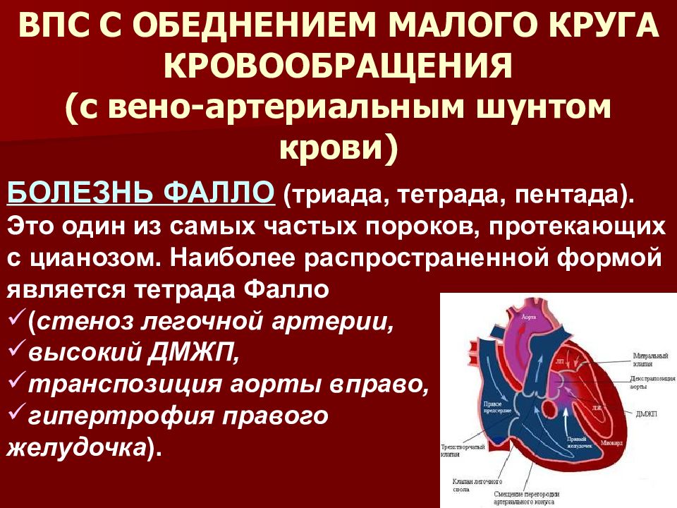 Клиническая картина врожденных пороков сердца у детей