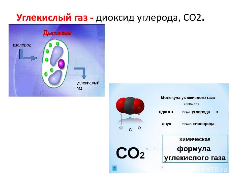 Углекислый газ обмен веществ. Углекислый ГАЗ со2. Диоксид углерода. Углекислый ГАЗ диоксид углерода. Двуокись углерода.
