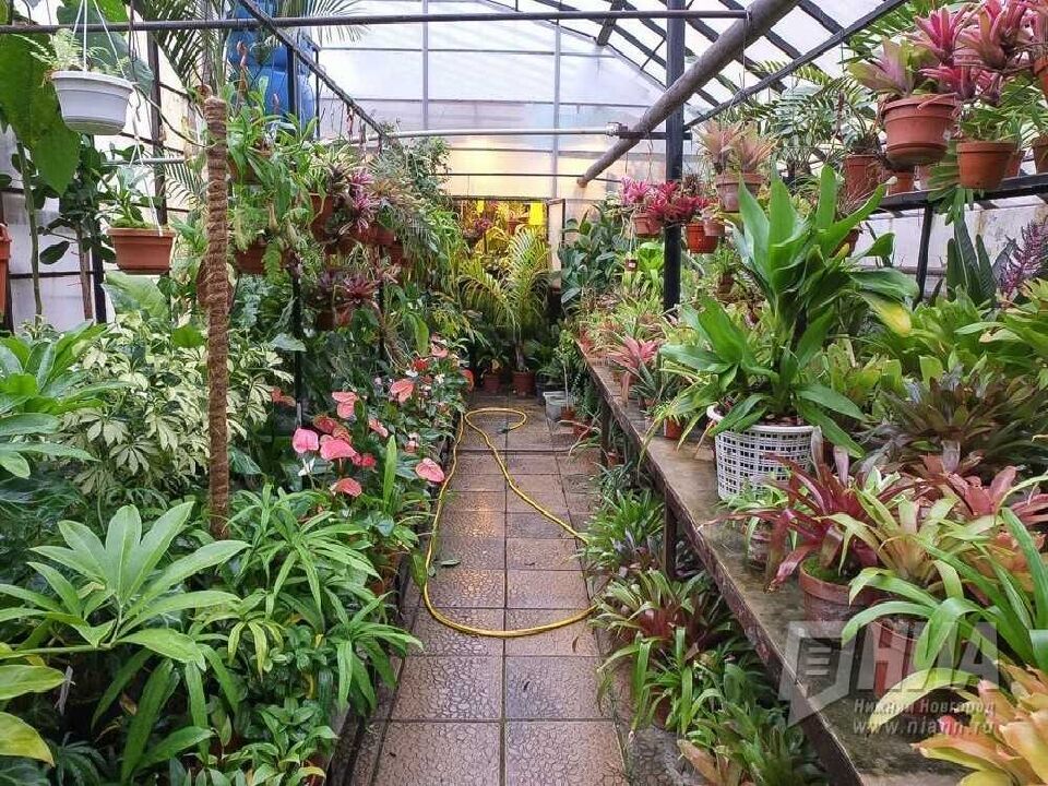 ОХРАНА РАСТИТЕЛЬНОГО МИРА