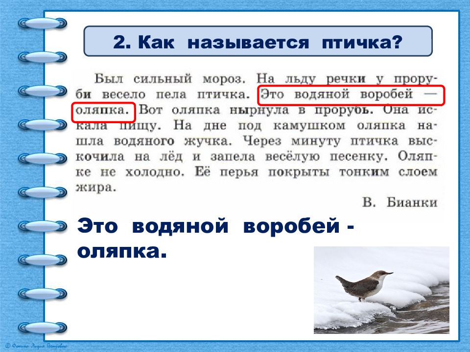 Как иначе называется и каким. Оляпка вопросы к изложению. Изложение оляпка 2 класс. Оляпка план изложения. План текста оляпка.