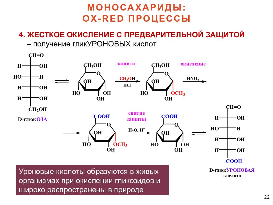 Окисление углеводов. Мягкое окисление моносахаридов. Сульфирование моносахаридов. Уроновые кислоты окисление. Полное метилирование моносахаридов.