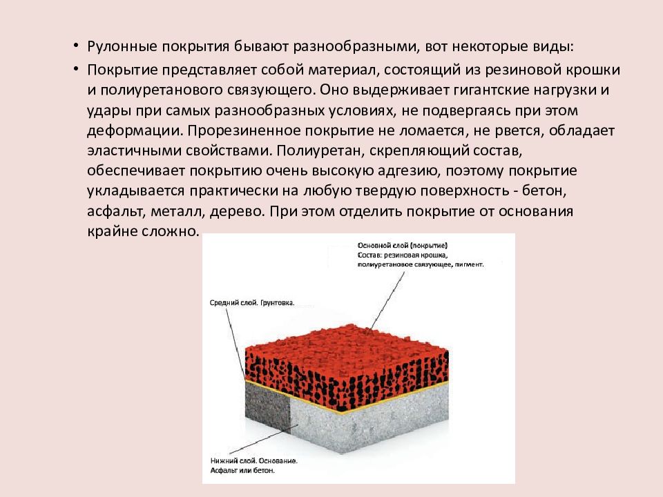 Презентация пол