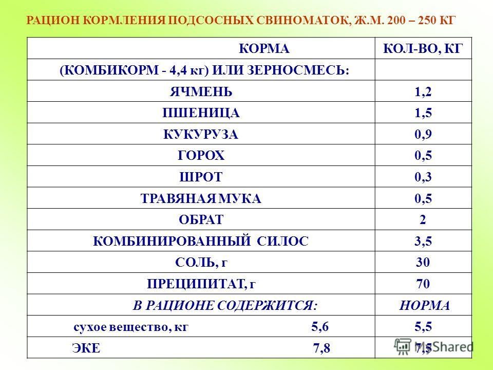 Рацион кормления. Нормы кормления подсосных свиноматок. Рацион кормления супоросных свиноматок. Рацион комбикорма для подсосной свиноматки. Рацион кормления полсосных своеосатое.