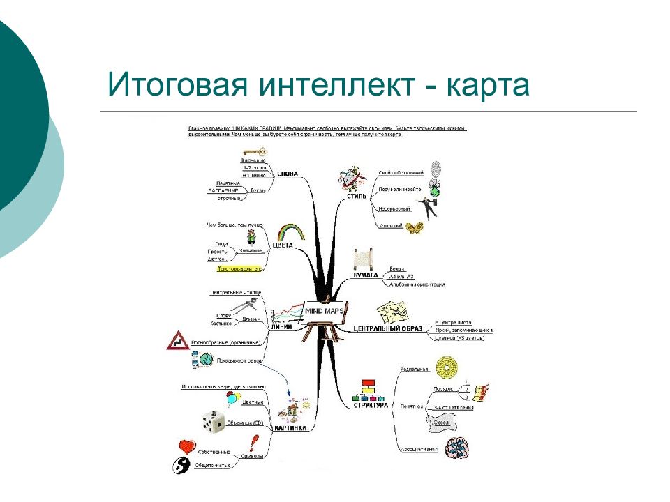 Интеллект карта строение цветка