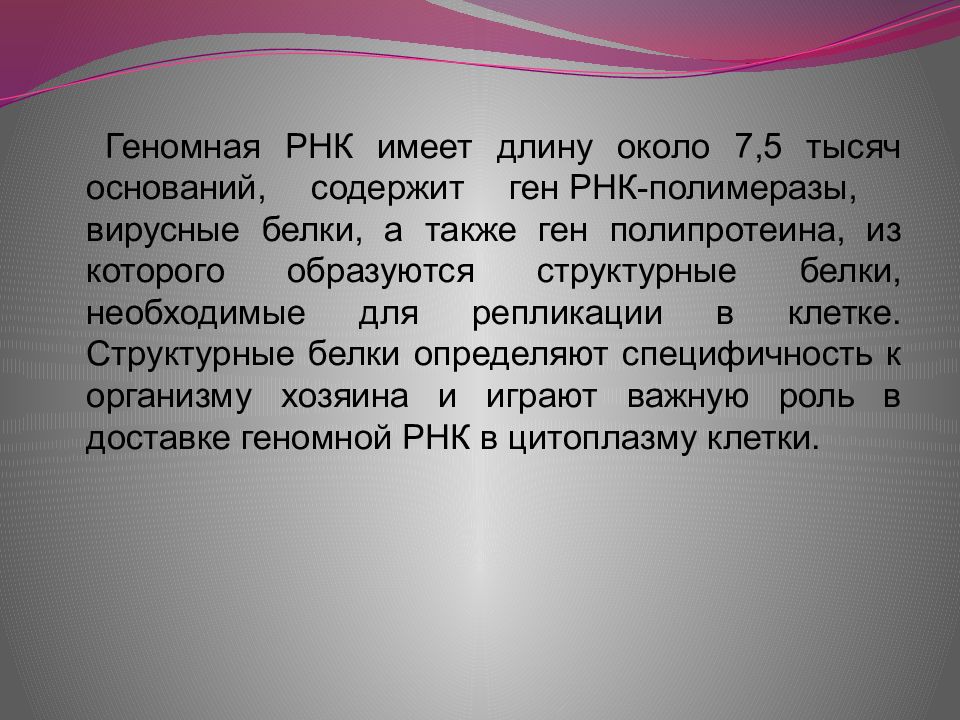 Деятельность факты. Занимательность. Геномная РНК. Принцип занимательности. Занимательность это определение.