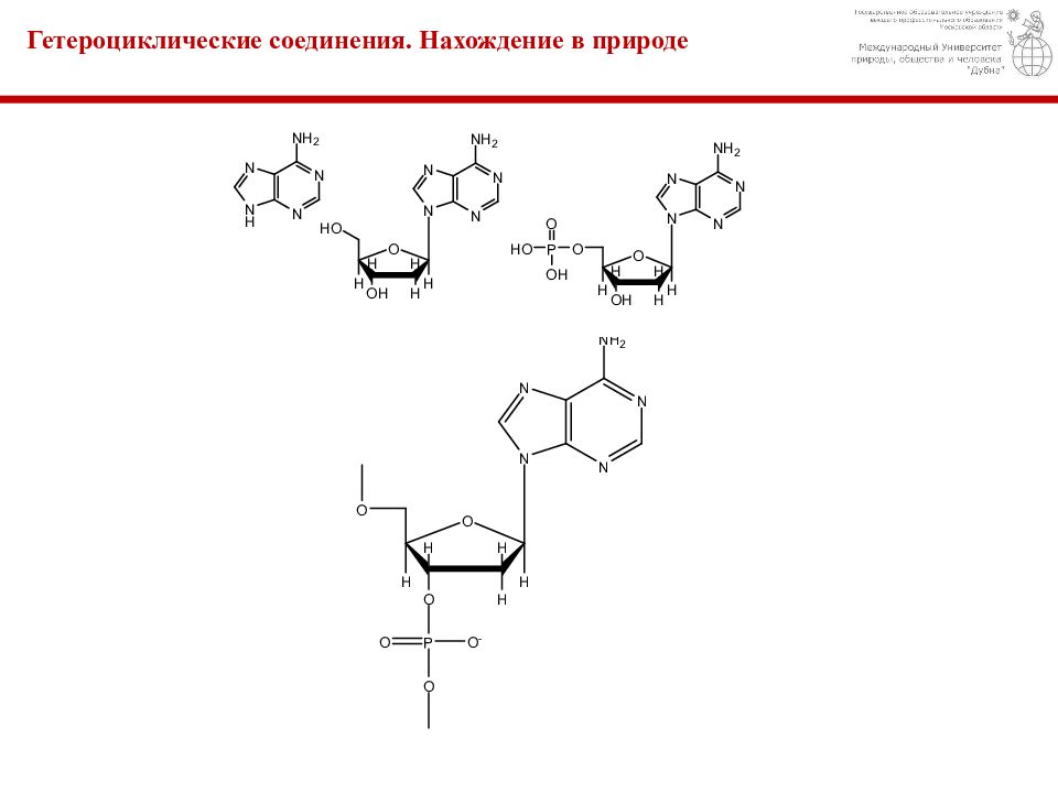 Гетероциклические соединения. Нахождение в природе гетероциклических соединений. Гетероциклические соединения тиазола. Гетероциклические кольца. Гетероциклическое строение цепи.