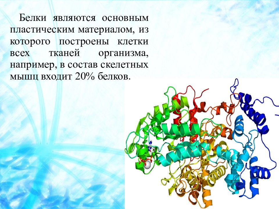 Белки являются. Социальные основы физической культуры презентация. Белки являются материалом клеток. Белки пищи являются пластическом материалом.