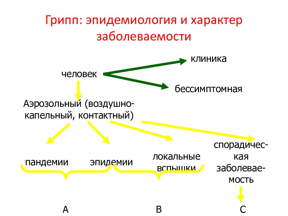 Схема орви корнилова