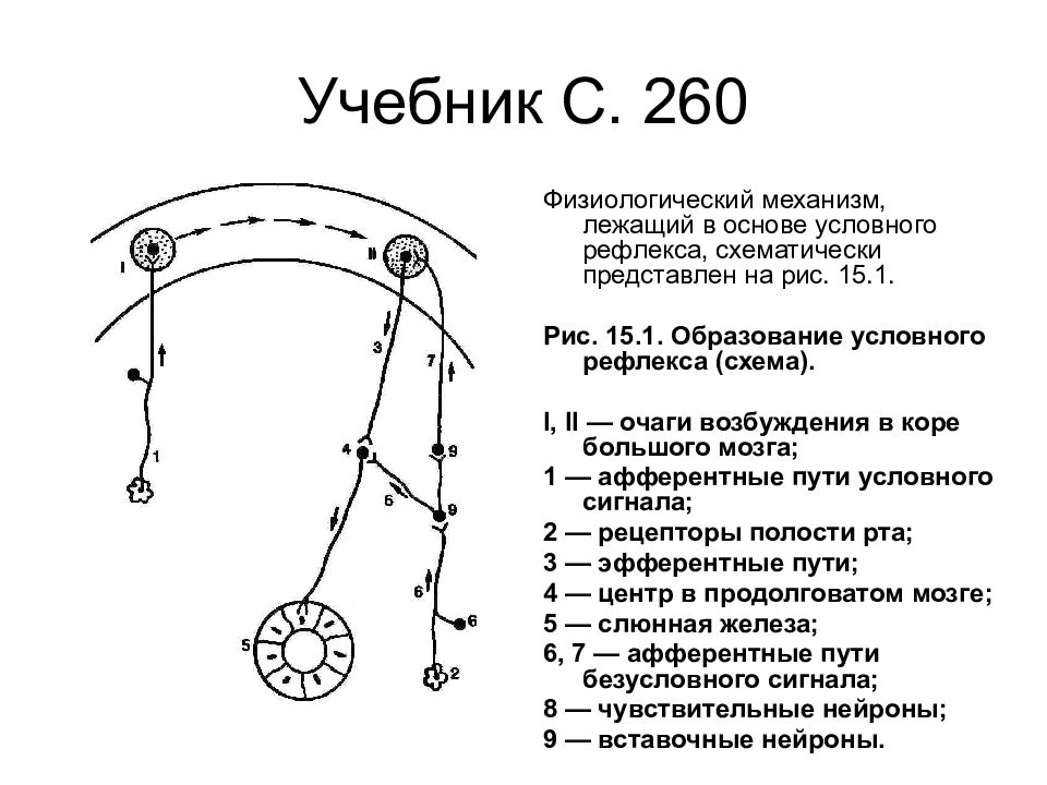 Какой механизм лежит в основе. Схема образования условного рефлекса. Механизм образования условного рефлекса схема. Механизм формирования условного рефлекса схема. Схема образования временной связи условного рефлекса.