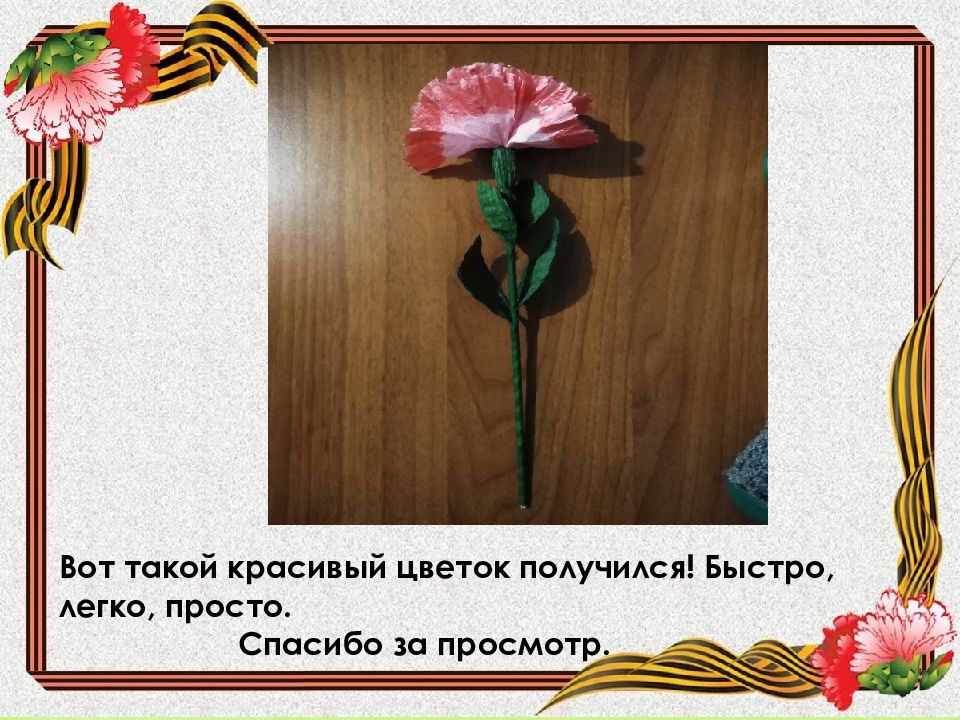 Красная гвоздика с георгиевской лентой. Цветы великой победы. Презентация цветы победы. С днем победы. Цветок победы беларусь.