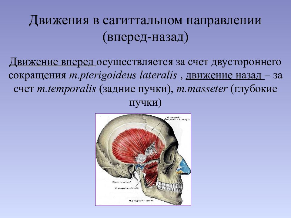 Восстановление и сохранение окклюзии в реставрационной стоматологии презентация